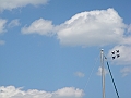 Western Michigan [2010] 490